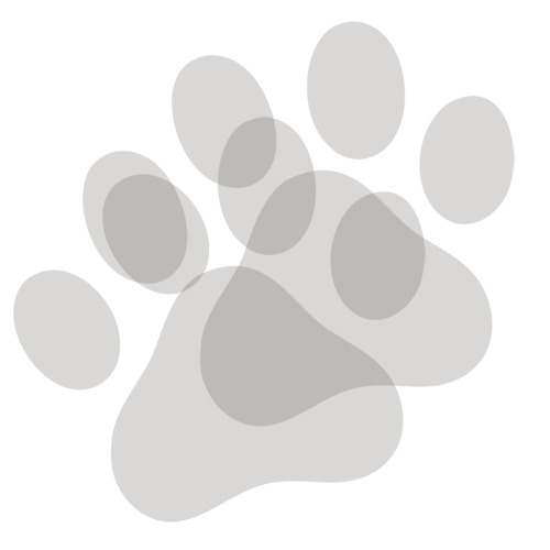 pfoten-back-25 MeinKatzenHerz - liebe auf samtpfoten