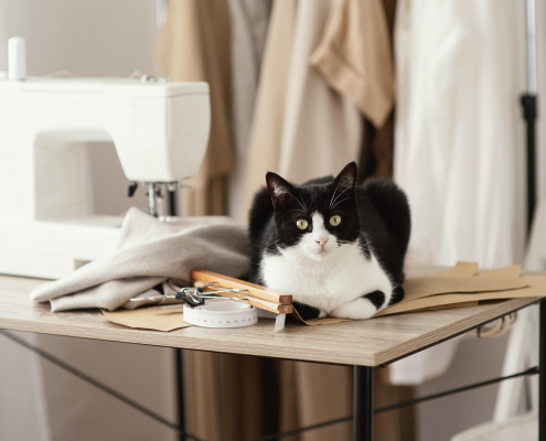 Katzen werfen Dinge vom Tisch