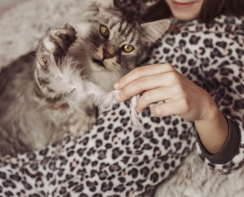 Katze & Kinder – was wirklich wichtig ist