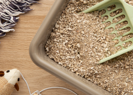 Katzenstreu – welches ist besser und warum?