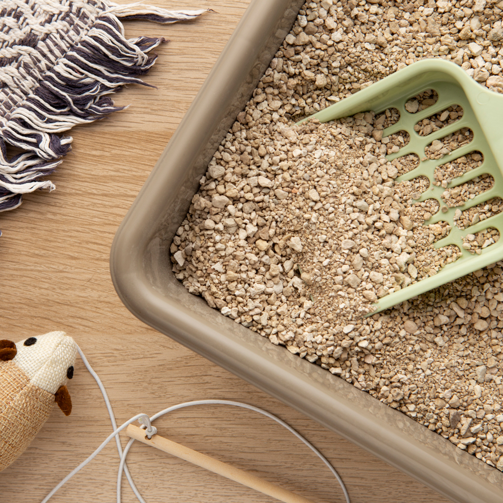 Katzenstreu – welches ist besser und warum?